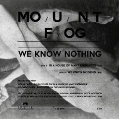 Mount Fog - We Know Nothing [8" lathe cut - HST001]