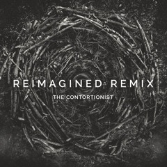 The Contortionist - Reimagined (Prisms & Portals Remix)