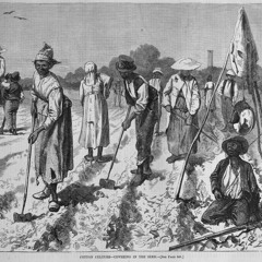 (SALE)Napalm68 - Muara Shio