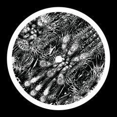 Mosam Howieson - Untitled [SSX03]