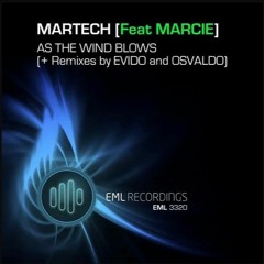 As the Wind Blows (Original Mix)