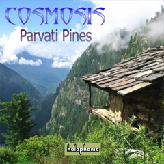 Parvati Pines - Cosmosis Chill