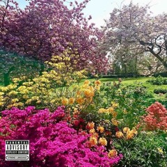 twenty seventeen [interlude]