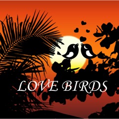 Afrobeat instrumental Mr Eazi x WIZKID x Type beat | LOVE BIRDS | Prod By Meldone Maps