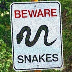 Snakes in the grass (Prod. Beatz Era) ( Mixed Az Parsons)