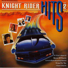 Knight Rider Theme @ Nanny O'Brien's Live Washington DC 7:15:17 Bassappella