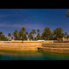 (( محمد حسن .. مجرودة ))