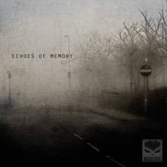 Echoes of memory