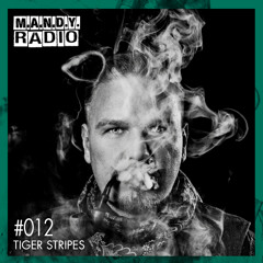 M.A.N.D.Y. Radio #012 mixed by Tiger Stripes