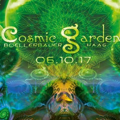 Cosmic speed