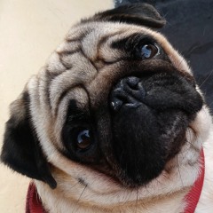 funkosmik...funkopistak