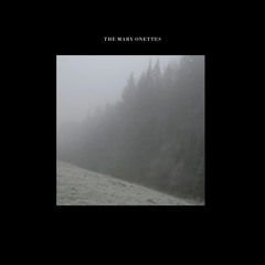 The Mary Onettes - The Companion