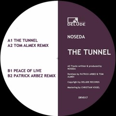 Noseda - The Tunnel ( Preview )