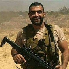 قصدية شعرية بصوت الشهيد البطل عقيد : احمد منسي