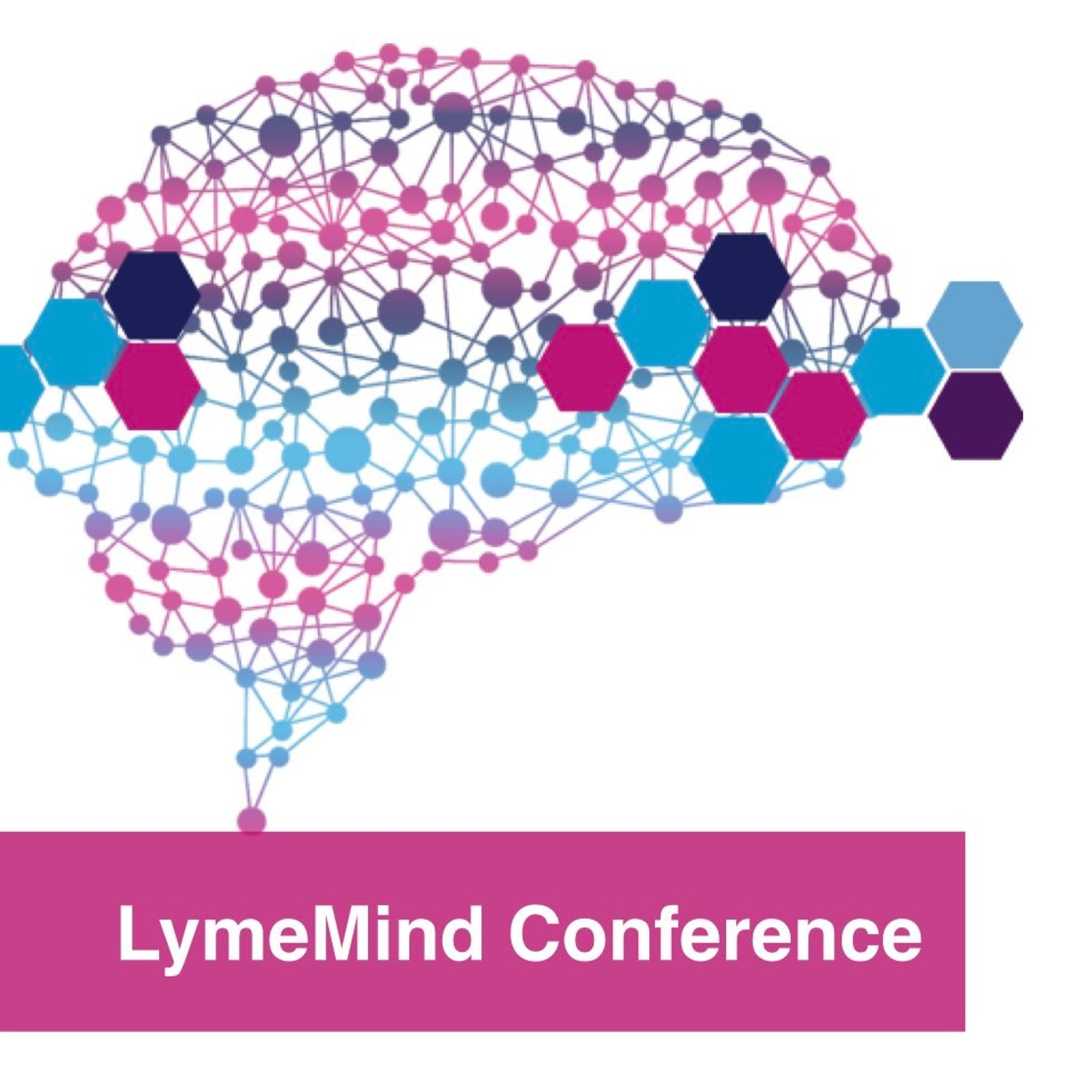 Lyme Ninja Radio - Lyme Disease & Related Health Topics
