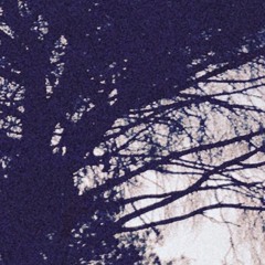 Maniacs (ft. Sanne Romee)