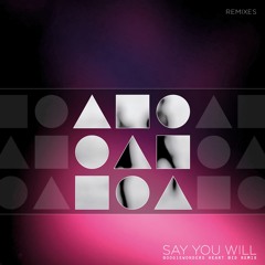 Say You Will (Boogiewonders Heart Bid Remix)