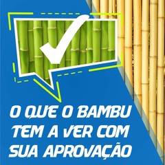 🔵 35 - O Que O Bambu Tem A Ver Com Sua Aprovação