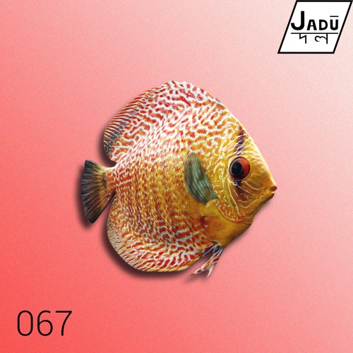Pyrekt - Flip That (JADŪ067)