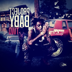 Transportin (ShefMix)