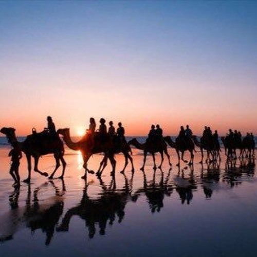 عروس تزف إلى قبرها