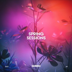 SNBRN Sessions Mix Series