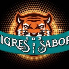 097 - 132 - Los Tigres Del Sabor - Mix Se Que Te Irás [ Junior Poicón - 2017 ]