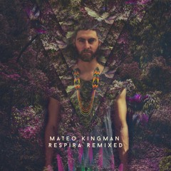Mateo Kingman - Agua Santa (beGun Remix)