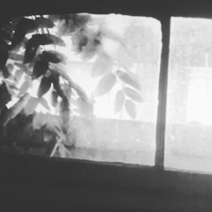 sameoldvoid - i never left the house