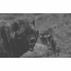 Wolfin’ ~bsterthegawd vol. 4 kit promo~