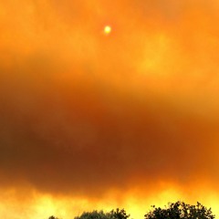 FIRESTORM - Singh , DeMarzo and Austin