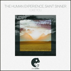 The Human Experience - I Like You ft. Saint Sinner