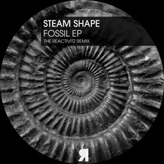 Steam Shape - Fossil (The Reactivitz Remix)