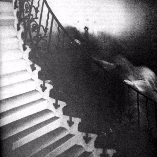 Ned Bundy - Brief Panic Attack