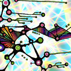 Wired Together