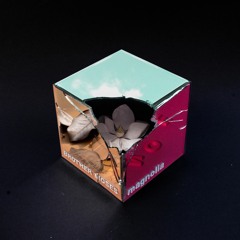 Inertia