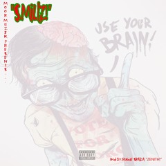 S.Millz - Use Your Brain (Prod By Rogue Skalla!)