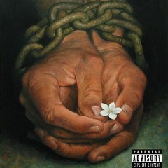 Life through my Eyes