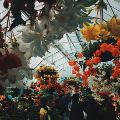 Ben Howard & Daughter -  Black Flies