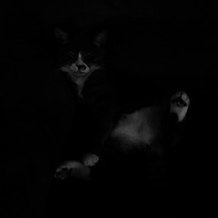 Lucid Dreams (Prod. IVN)