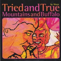 Mountains And Buffalo