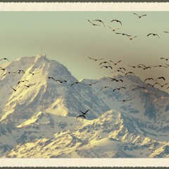 Early Minor  Draft of SW Overature