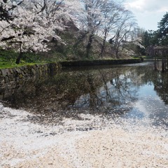 the Waltz of the Unplucked