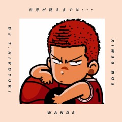 WANDS - 世界が終るまでは・・・（DJ T.HIROYUKI EDM Remix)