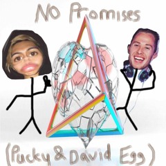 No Promises (David Egg X Pucky)