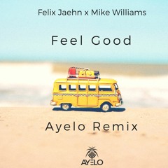 Felix Jaehn x Mike Williams - Feel Good (Ayelo Remix)