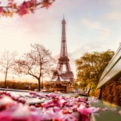 "C'est la vie" ft. John Woodall & DGreene (Prod. by Gabriel Davis)