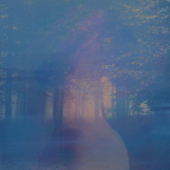 Something In The Woods