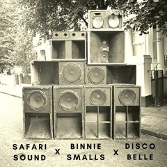 Discobelle Mix 174: Safari Sound x Binnie Smalls