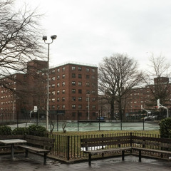 Nights on the Nom - PM(preview)